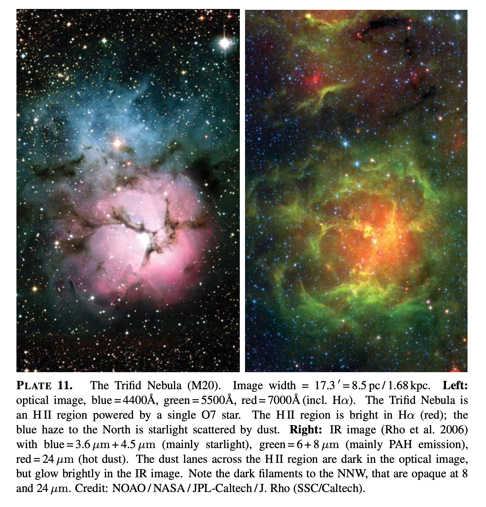 The blue nebulosity in the north is primarily scattered light. Credit: Draine Plate 11