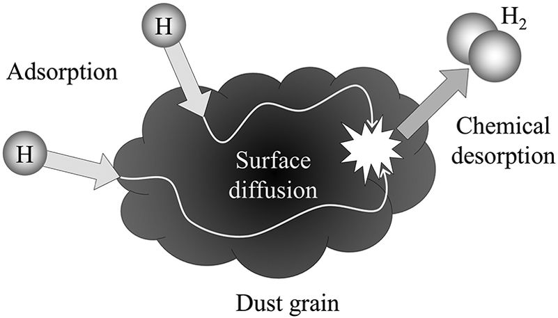 Atoms adsorb onto the surface of a grain, diffuse until they meet another atom, and sometimes form a molecule. Credit: Ryden and Pogge Figure 7.4, following Dulieu et al. 2013