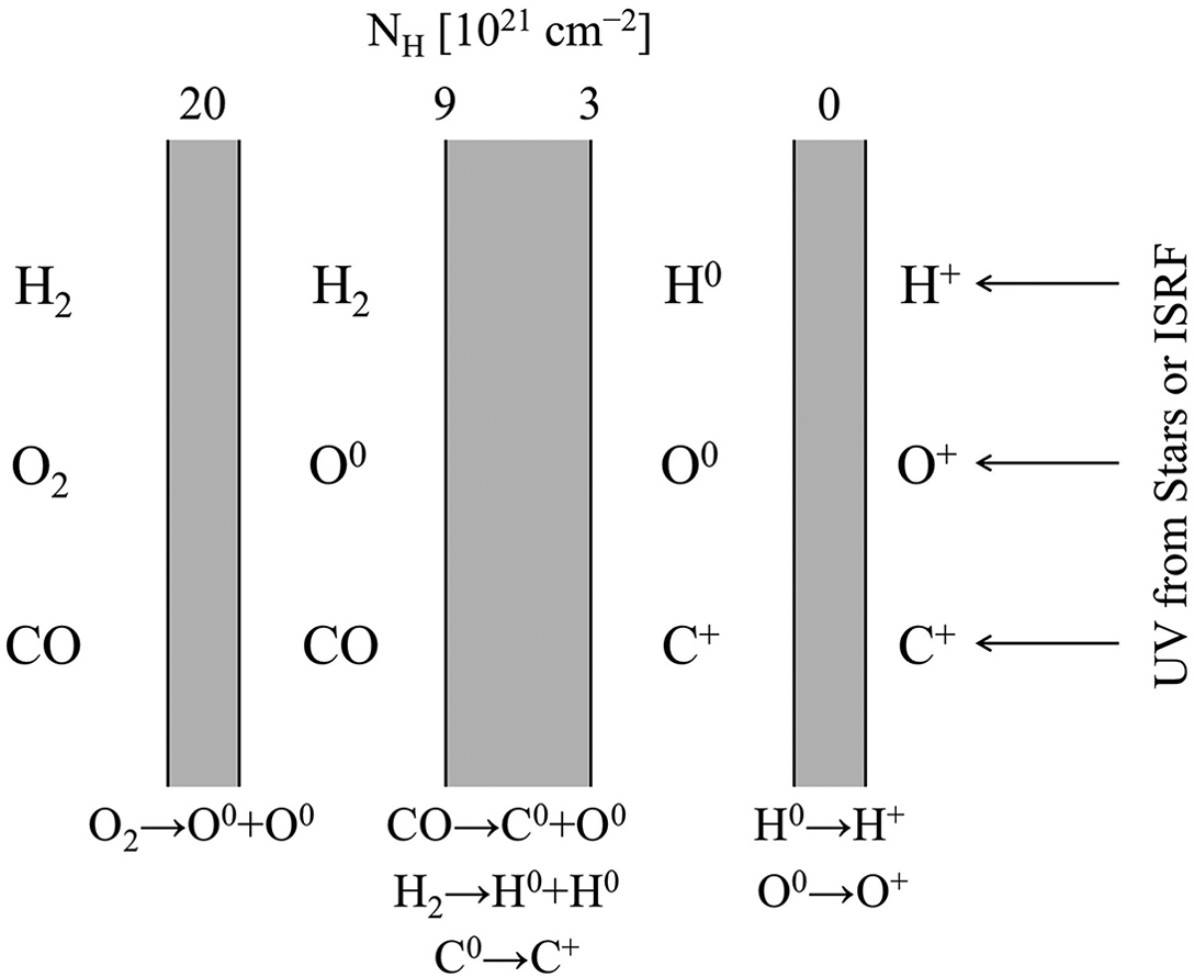 Schematic diagram of a photodissociation region. The shielded molecular gas is on the left, the source of UV photons is on the right. The numbers at the top of the diagram represent the column density of hydrogen measured from the ionization front. Credit: Ryden and Pogge Fig 7.6