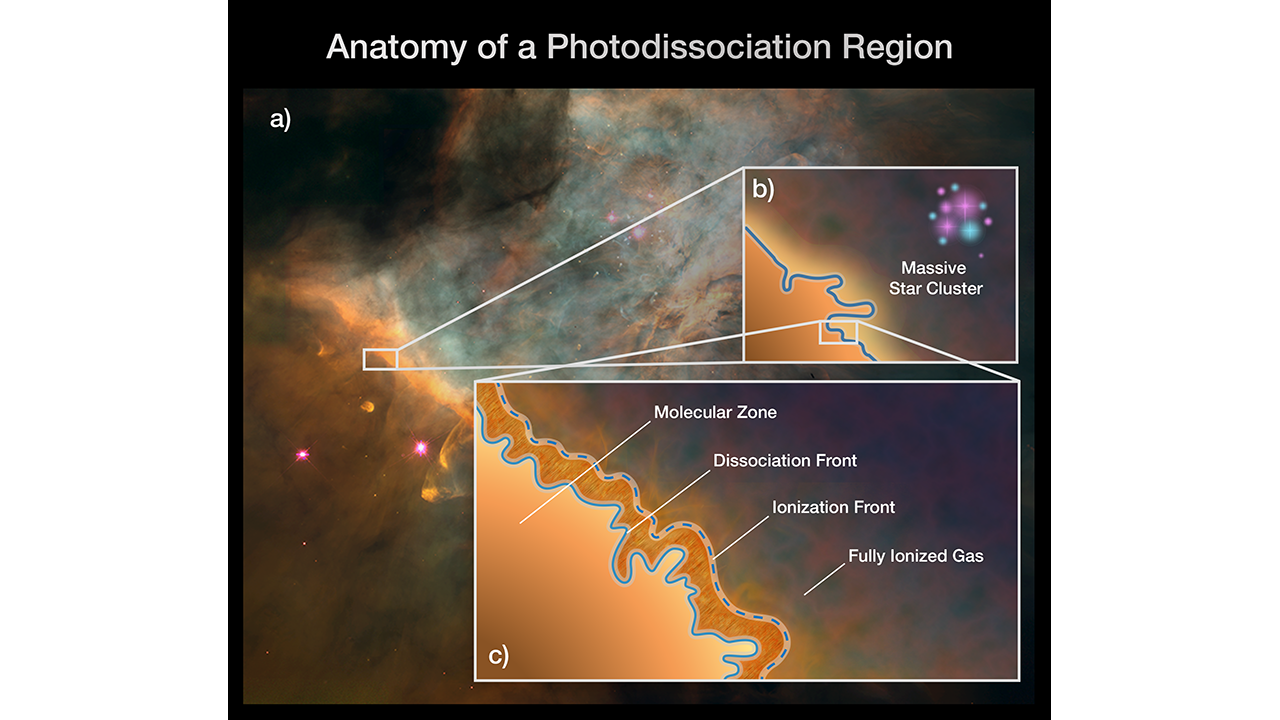 This graphic depicts the stratified nature of a photodissociation region (PDR) such as the Orion Bar. Once thought to be homogenous areas of warm gas and dust, PDRs are now known to contain complex structure and four distinct zones. The box at the left shows a portion of the Orion Bar within the Orion Nebula. The box at the top right illustrates a massive star-forming region whose blasts of ultraviolet radiation are affecting a PDR. The box at the bottom right zooms in on a PDR to depict its four, distinct zones: 1) the molecular zone, a cold and dense region where the gas is in the form of molecules and where stars could form; 2) the dissociation front, where the molecules break apart into atoms as the temperature rises; 3) the ionization front, where the gas is stripped of electrons, becoming ionized, as the temperature increases dramatically; and 4) the fully ionized flow of gas into a region of atomic, ionized hydrogen. For the first time, Webb will be able to separate and study these different zones’ physical conditions. Credits: ILLUSTRATION: NASA, ESA, CSA, Jason Champion (CNRS), Pam Jeffries (STScI), PDRs4ALL ERS Team